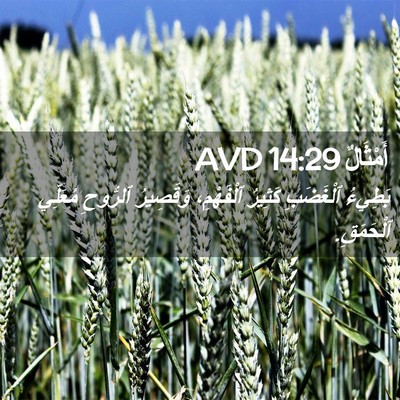 Picture 02 - أَمْثَالٌ 14:29 AVD - بَطِيءُ ٱلْغَضَبِ كَثِيرُ - Bible Verse Picture