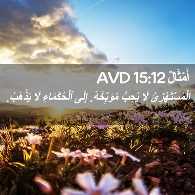 Picture 02 - أَمْثَالٌ 15:12 AVD - اَلْمُسْتَهْزِئُ لَا - Bible Verse Picture