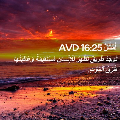 Picture 02 - أَمْثَالٌ 16:25 AVD - تُوجَدُ طَرِيقٌ تَظْهَرُ - Bible Verse Picture