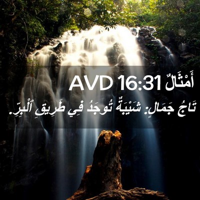 Picture 02 - أَمْثَالٌ 16:31 AVD - تَاجُ جَمَالٍ: شَيْبَةٌ - Bible Verse Picture