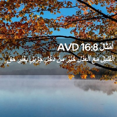 Picture 02 - أَمْثَالٌ 16:8 AVD - اَلْقَلِيلُ مَعَ - Bible Verse Picture