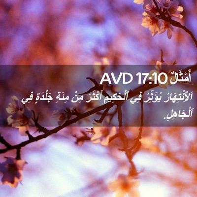 Picture 02 - أَمْثَالٌ 17:10 AVD - اَلِٱنْتِهَارُ يُؤَثِّرُ - Bible Verse Picture