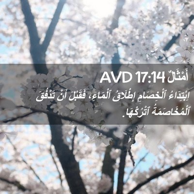 Picture 02 - أَمْثَالٌ 17:14 AVD - اِبْتِدَاءُ ٱلْخِصَامِ - Bible Verse Picture
