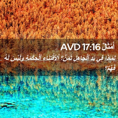 Picture 02 - أَمْثَالٌ 17:16 AVD - لِمَاذَا فِي يَدِ - Bible Verse Picture