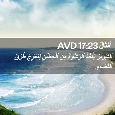 Picture 02 - أَمْثَالٌ 17:23 AVD - ٱلشِّرِّيرُ يَأْخُذُ - Bible Verse Picture