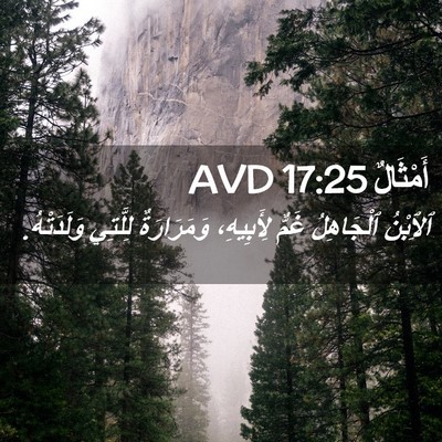 Picture 02 - أَمْثَالٌ 17:25 AVD - ٱلِٱبْنُ ٱلْجَاهِلُ غَمٌّ - Bible Verse Picture