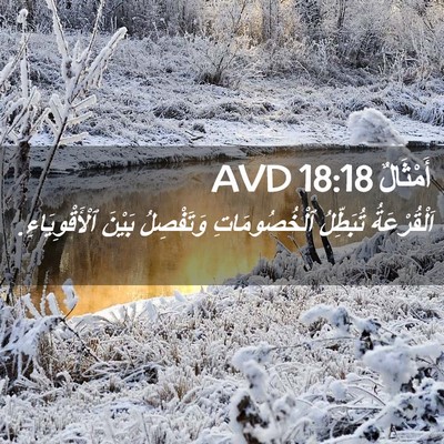 Picture 02 - أَمْثَالٌ 18:18 AVD - اَلْقُرْعَةُ تُبَطِّلُ - Bible Verse Picture