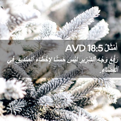 Picture 02 - أَمْثَالٌ 18:5 AVD - رَفْعُ وَجْهِ ٱلشِّرِّيرِ - Bible Verse Picture