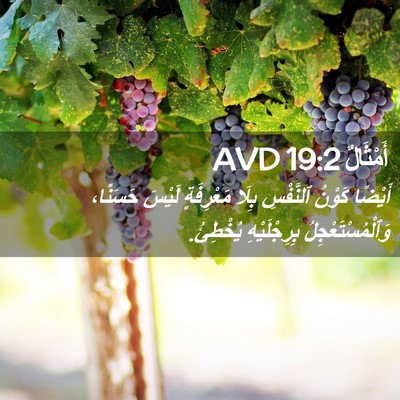 Picture 02 - أَمْثَالٌ 19:2 AVD - أَيْضًا كَوْنُ ٱلنَّفْسِ - Bible Verse Picture