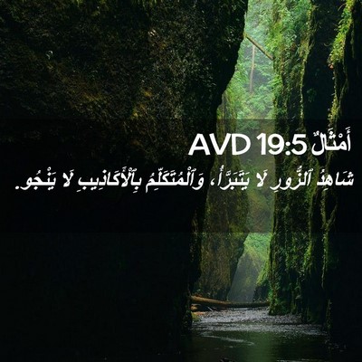 Picture 02 - أَمْثَالٌ 19:5 AVD - شَاهِدُ ٱلزُّورِ لَا - Bible Verse Picture