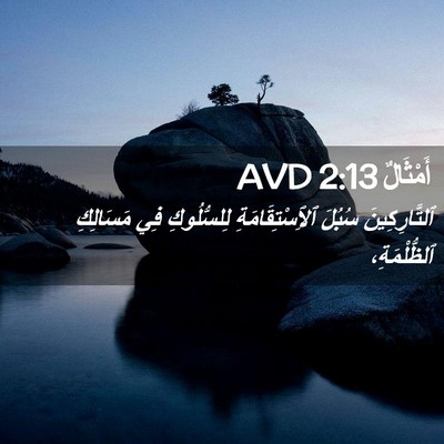 Picture 02 - أَمْثَالٌ 2:13 AVD - ٱلتَّارِكِينَ سُبُلَ - Bible Verse Picture