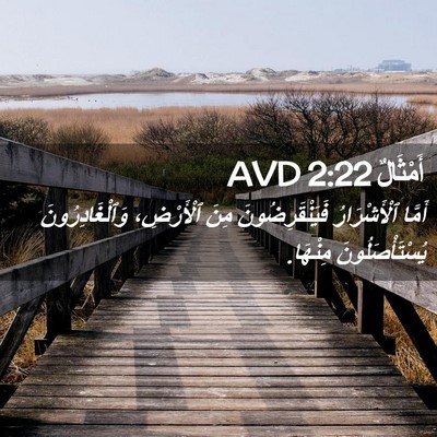 Picture 02 - أَمْثَالٌ 2:22 AVD - أَمَّا ٱلْأَشْرَارُ - Bible Verse Picture