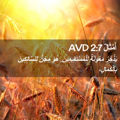 Picture 02 - أَمْثَالٌ 2:7 AVD - يَذْخَرُ مَعُونَةً - Bible Verse Picture