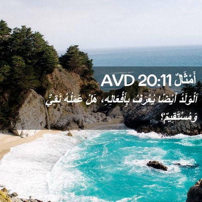 Picture 02 - أَمْثَالٌ 20:11 AVD - اَلْوَلَدُ أَيْضًا - Bible Verse Picture