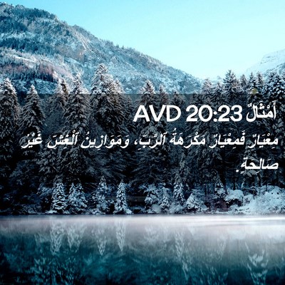 Picture 02 - أَمْثَالٌ 20:23 AVD - مِعْيَارٌ فَمِعْيَارٌ - Bible Verse Picture