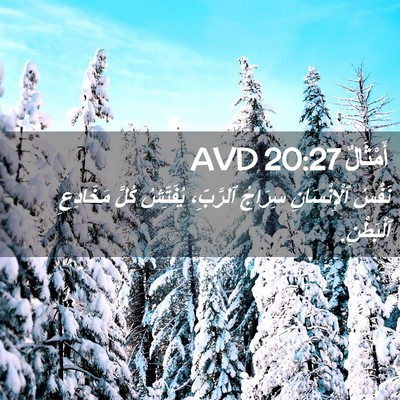 Picture 02 - أَمْثَالٌ 20:27 AVD - نَفْسُ ٱلْإِنْسَانِ - Bible Verse Picture