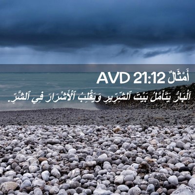 Picture 02 - أَمْثَالٌ 21:12 AVD - اَلْبَارُّ يَتَأَمَّلُ - Bible Verse Picture