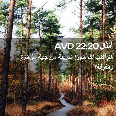 Picture 02 - أَمْثَالٌ 22:20 AVD - أَلَمْ أَكْتُبْ لَكَ - Bible Verse Picture