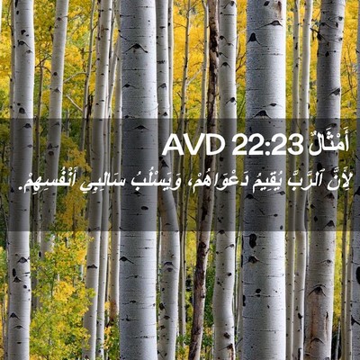 Picture 02 - أَمْثَالٌ 22:23 AVD - لِأَنَّ ٱلرَّبَّ يُقِيمُ - Bible Verse Picture
