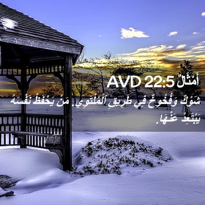 Picture 02 - أَمْثَالٌ 22:5 AVD - شَوْكٌ وَفُخُوخٌ فِي - Bible Verse Picture