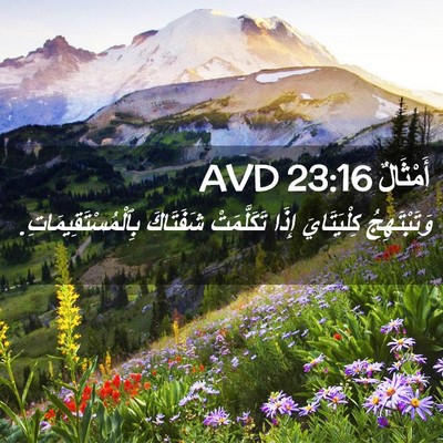 Picture 02 - أَمْثَالٌ 23:16 AVD - وَتَبْتَهِجُ كِلْيَتَايَ - Bible Verse Picture