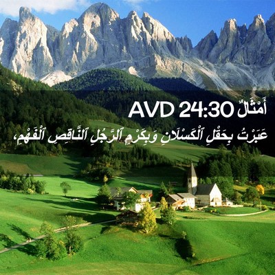 Picture 02 - أَمْثَالٌ 24:30 AVD - عَبَرْتُ بِحَقْلِ - Bible Verse Picture