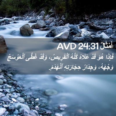 Picture 02 - أَمْثَالٌ 24:31 AVD - فَإِذَا هُوَ قَدْ عَلَاهُ - Bible Verse Picture