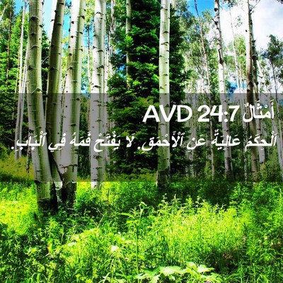 Picture 02 - أَمْثَالٌ 24:7 AVD - اَلْحِكَمُ عَالِيَةٌ عَنِ - Bible Verse Picture