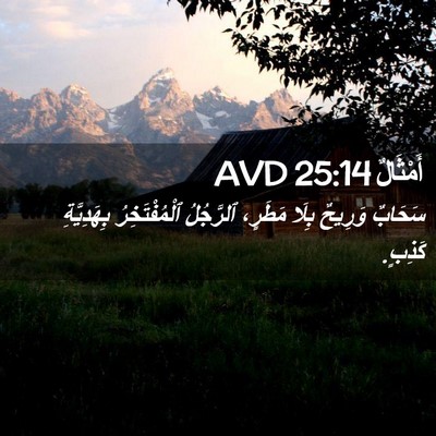 Picture 02 - أَمْثَالٌ 25:14 AVD - سَحَابٌ وَرِيحٌ بِلَا - Bible Verse Picture
