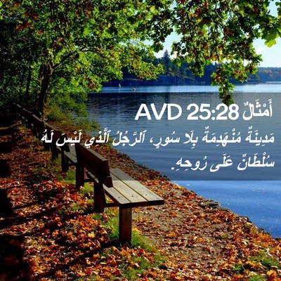 Picture 02 - أَمْثَالٌ 25:28 AVD - مَدِينَةٌ مُنْهَدِمَةٌ - Bible Verse Picture
