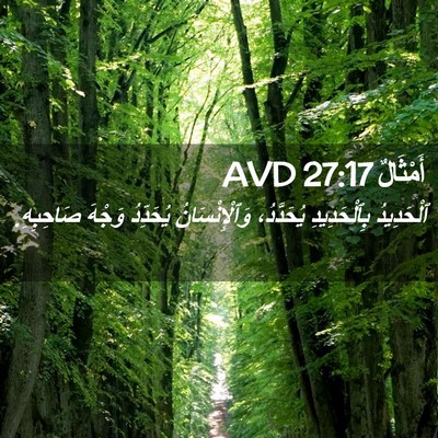 Picture 02 - أَمْثَالٌ 27:17 AVD - ٱلْحَدِيدُ بِٱلْحَدِيدِ - Bible Verse Picture