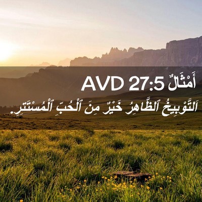 Picture 02 - أَمْثَالٌ 27:5 AVD - اَلتَّوْبِيخُ ٱلظَّاهِرُ - Bible Verse Picture
