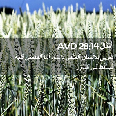 Picture 02 - أَمْثَالٌ 28:14 AVD - طُوبَى لِلْإِنْسَانِ - Bible Verse Picture