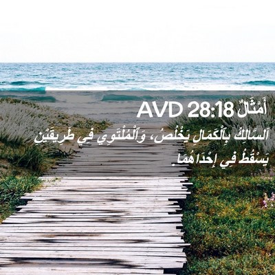 Picture 02 - أَمْثَالٌ 28:18 AVD - اَلسَّالِكُ بِٱلْكَمَالِ - Bible Verse Picture