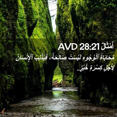 Picture 02 - أَمْثَالٌ 28:21 AVD - مُحَابَاةُ ٱلْوُجُوهِ - Bible Verse Picture