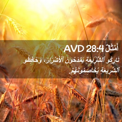 Picture 02 - أَمْثَالٌ 28:4 AVD - تَارِكُو ٱلشَّرِيعَةِ - Bible Verse Picture