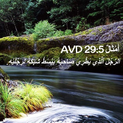 Picture 02 - أَمْثَالٌ 29:5 AVD - اَلرَّجُلُ ٱلَّذِي - Bible Verse Picture