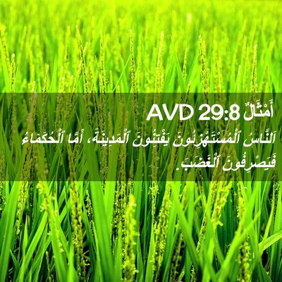 Picture 02 - أَمْثَالٌ 29:8 AVD - اَلنَّاسُ - Bible Verse Picture