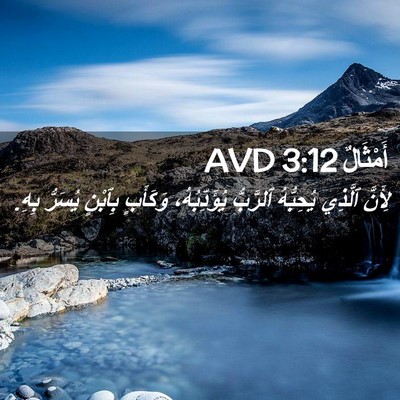 Picture 02 - أَمْثَالٌ 3:12 AVD - لِأَنَّ ٱلَّذِي يُحِبُّهُ - Bible Verse Picture