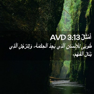 Picture 02 - أَمْثَالٌ 3:13 AVD - طُوبَى لِلْإِنْسَانِ - Bible Verse Picture