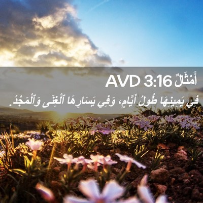 Picture 02 - أَمْثَالٌ 3:16 AVD - فِي يَمِينِهَا طُولُ - Bible Verse Picture