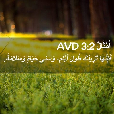 Picture 02 - أَمْثَالٌ 3:2 AVD - فَإِنَّهَا تَزِيدُكَ - Bible Verse Picture