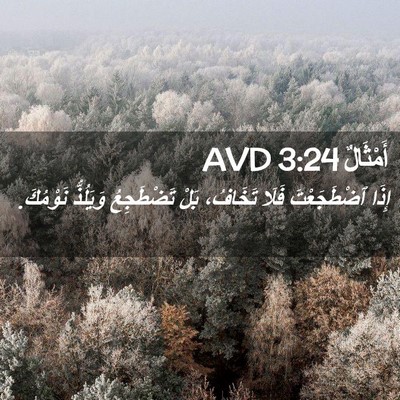 Picture 02 - أَمْثَالٌ 3:24 AVD - إِذَا ٱضْطَجَعْتَ فَلَا - Bible Verse Picture