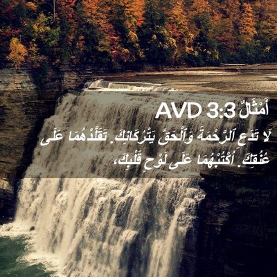 Picture 02 - أَمْثَالٌ 3:3 AVD - لَا تَدَعِ ٱلرَّحْمَةَ - Bible Verse Picture