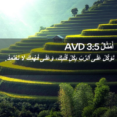 Picture 02 - أَمْثَالٌ 3:5 AVD - تَوَكَّلْ عَلَى ٱلرَّبِّ - Bible Verse Picture