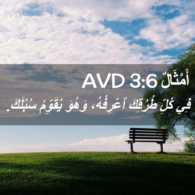 Picture 02 - أَمْثَالٌ 3:6 AVD - فِي كُلِّ طُرُقِكَ - Bible Verse Picture