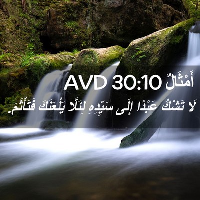 Picture 02 - أَمْثَالٌ 30:10 AVD - لَا تَشْكُ عَبْدًا إِلَى - Bible Verse Picture