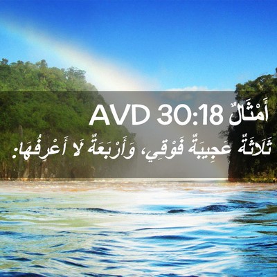 Picture 02 - أَمْثَالٌ 30:18 AVD - ثَلَاثَةٌ عَجِيبَةٌ - Bible Verse Picture