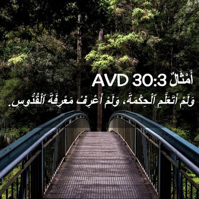 Picture 02 - أَمْثَالٌ 30:3 AVD - وَلَمْ أَتَعَلَّمِ - Bible Verse Picture