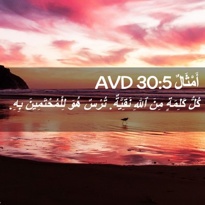 Picture 02 - أَمْثَالٌ 30:5 AVD - كُلُّ كَلِمَةٍ مِنَ ٱللهِ - Bible Verse Picture